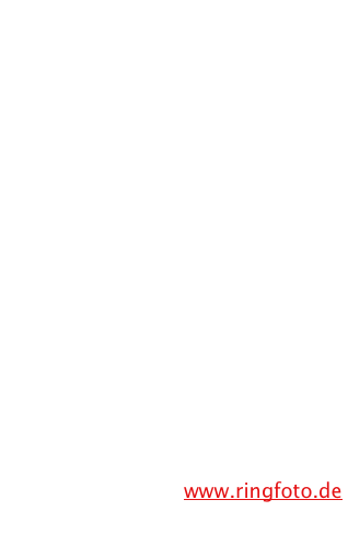 Wir sind Ihr Ringfotohändler.  Blättern Sie auf der Ringfotoseite.  Ob Kamera, Zubehör,Technik oder Fotozubehör - schauen Sie in Ruhe zu Hause nach passenden Angeboten.   Sie bestellen direkt bei uns im Laden oder per email und werden benachrichtigt, wann  Sie die Ware  bei uns abholen können.     Klicken Sie auf  www.ringfoto.de 